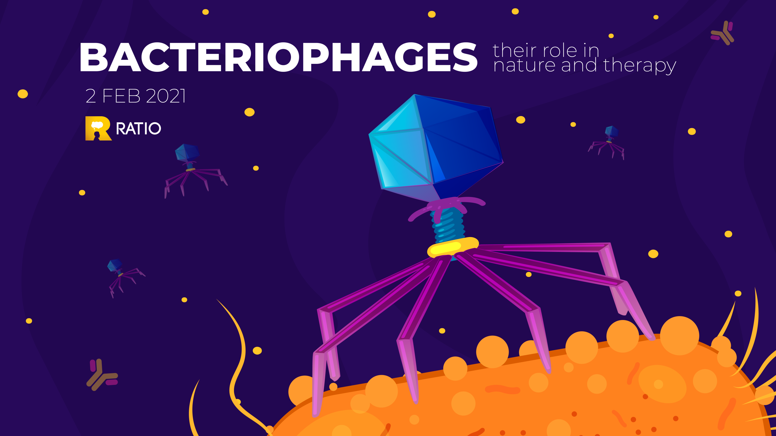 Ratio presents: Bacteriophages