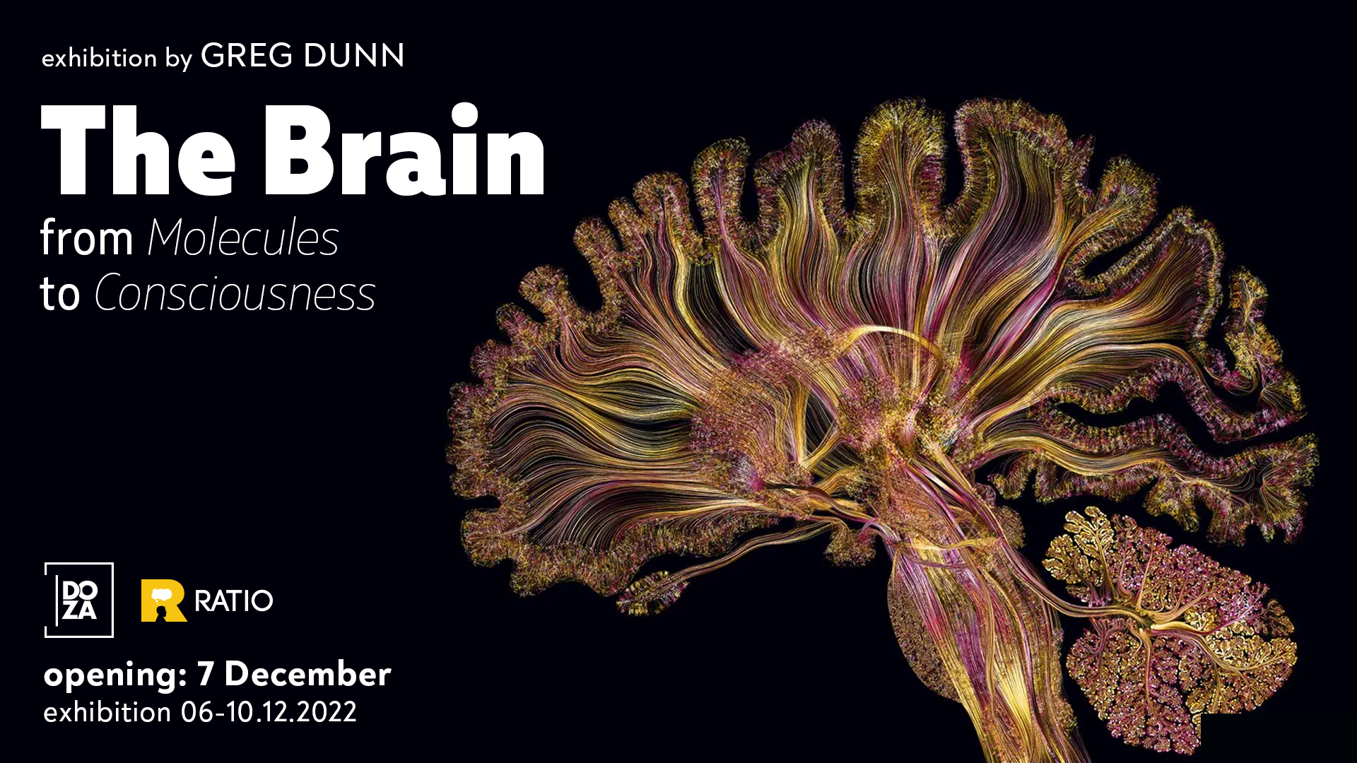 The Brain from Molecules to Consciousness: Art w Greg Dunn