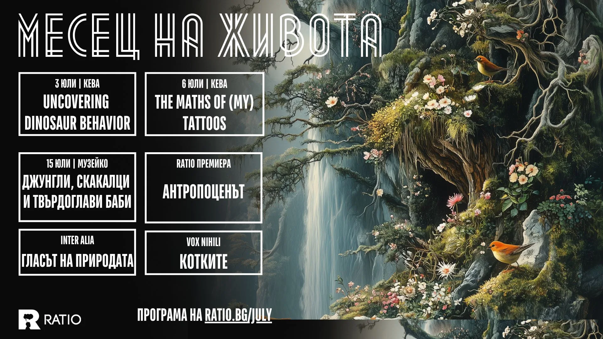 Videos